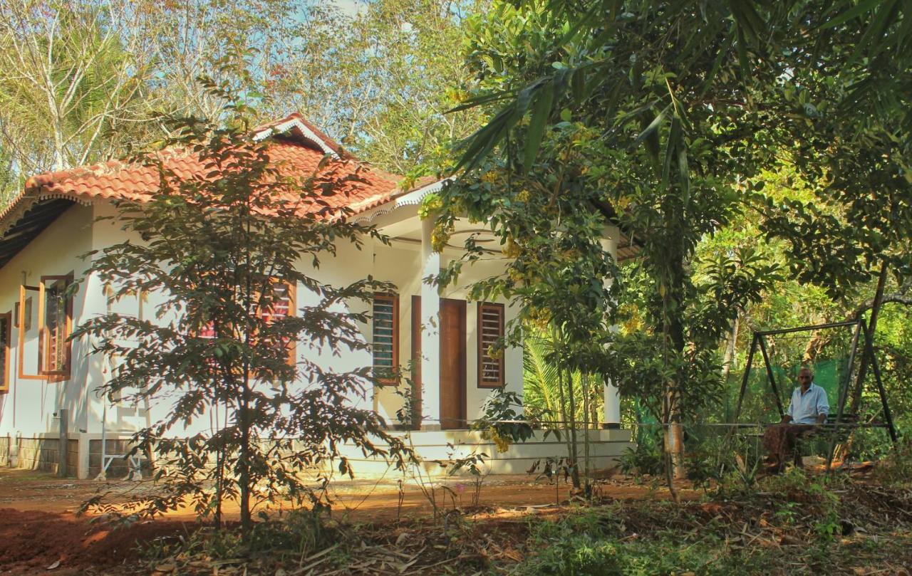 玛纳多迪Wayanad Days别墅 外观 照片