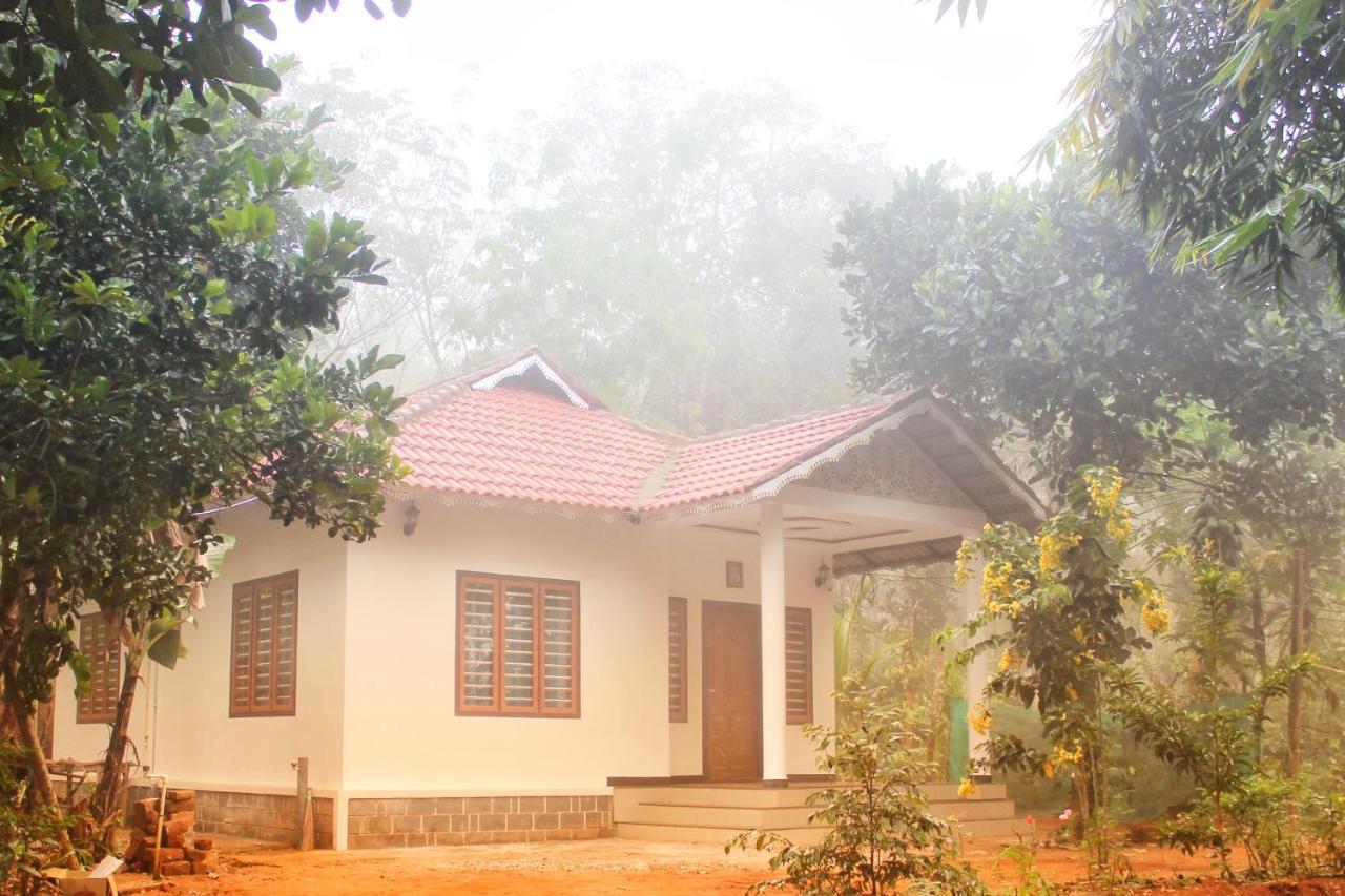 玛纳多迪Wayanad Days别墅 外观 照片
