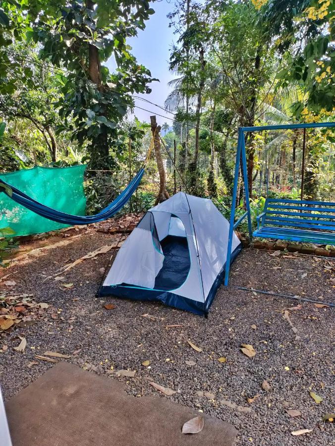 玛纳多迪Wayanad Days别墅 外观 照片