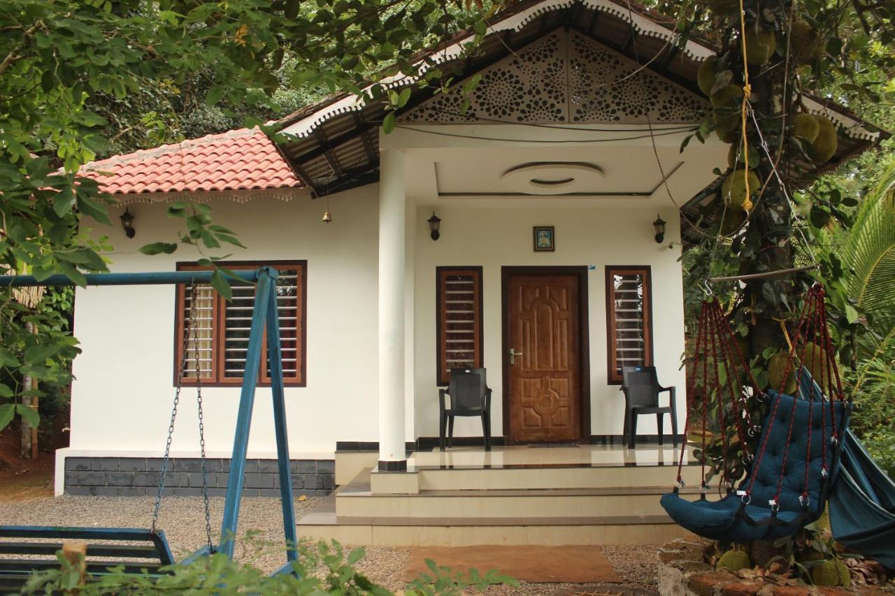 玛纳多迪Wayanad Days别墅 外观 照片