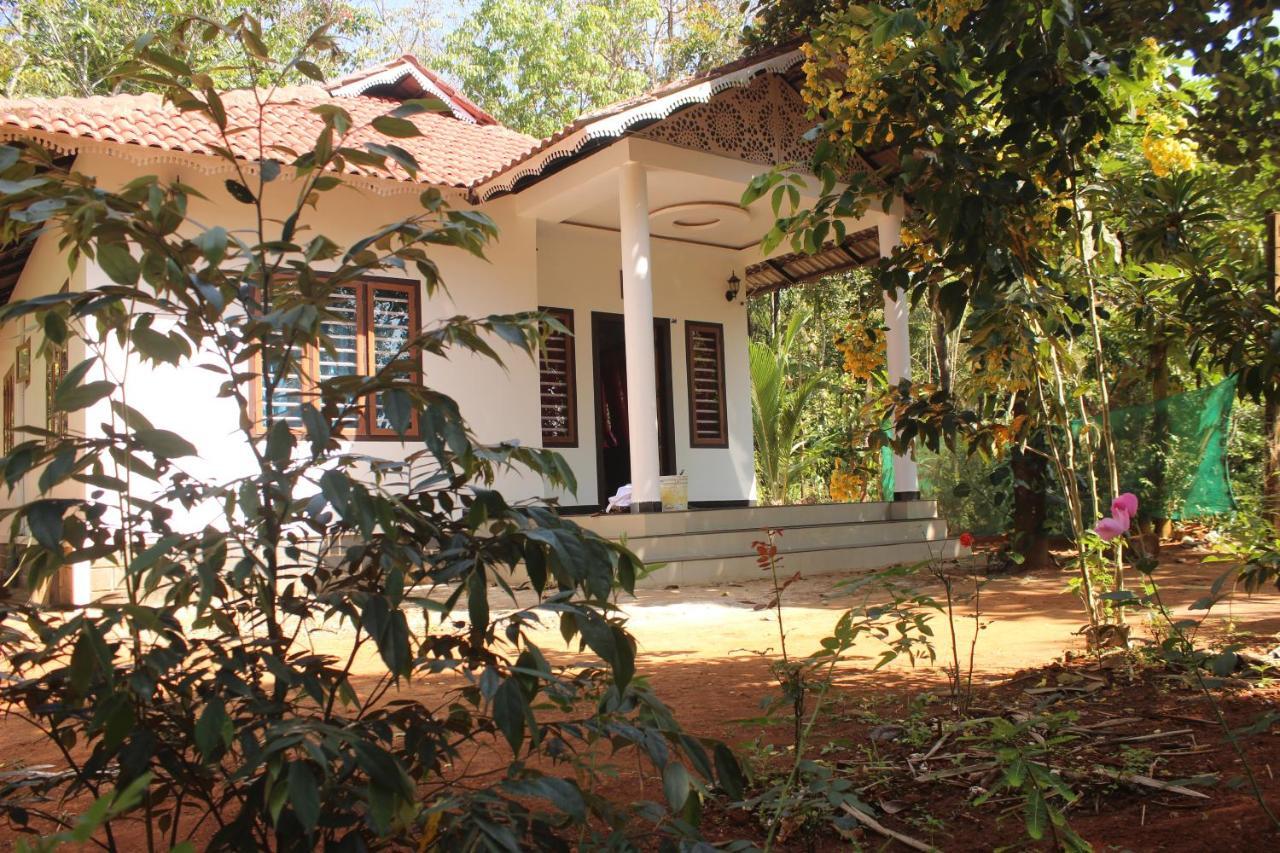 玛纳多迪Wayanad Days别墅 外观 照片