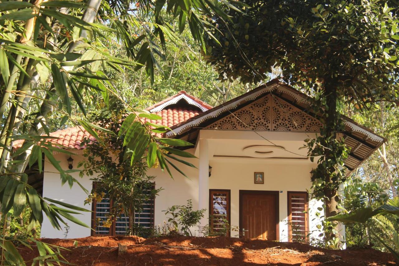 玛纳多迪Wayanad Days别墅 外观 照片