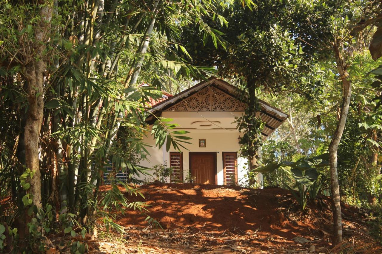 玛纳多迪Wayanad Days别墅 外观 照片