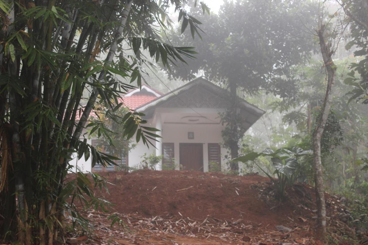 玛纳多迪Wayanad Days别墅 外观 照片