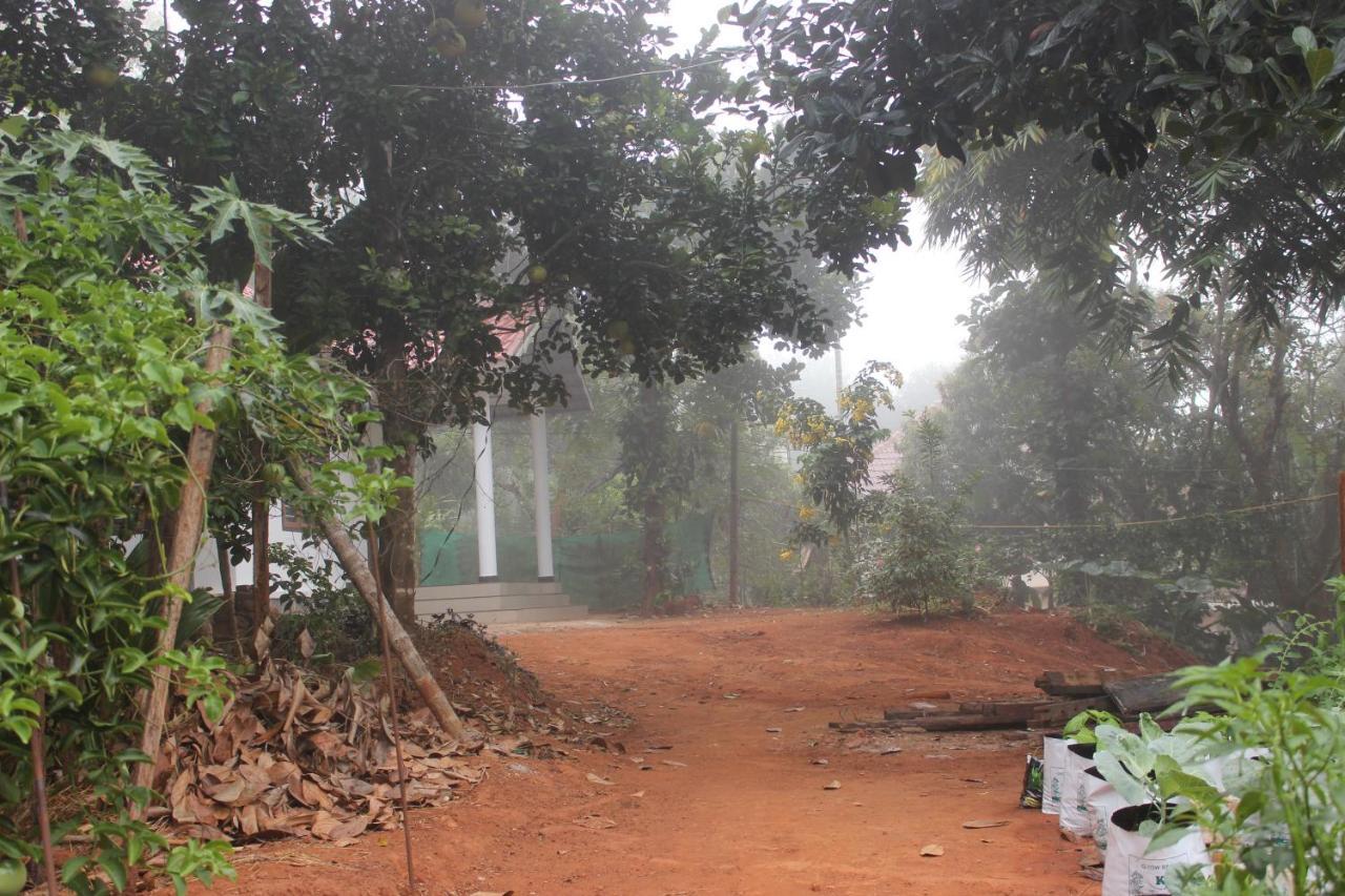 玛纳多迪Wayanad Days别墅 外观 照片